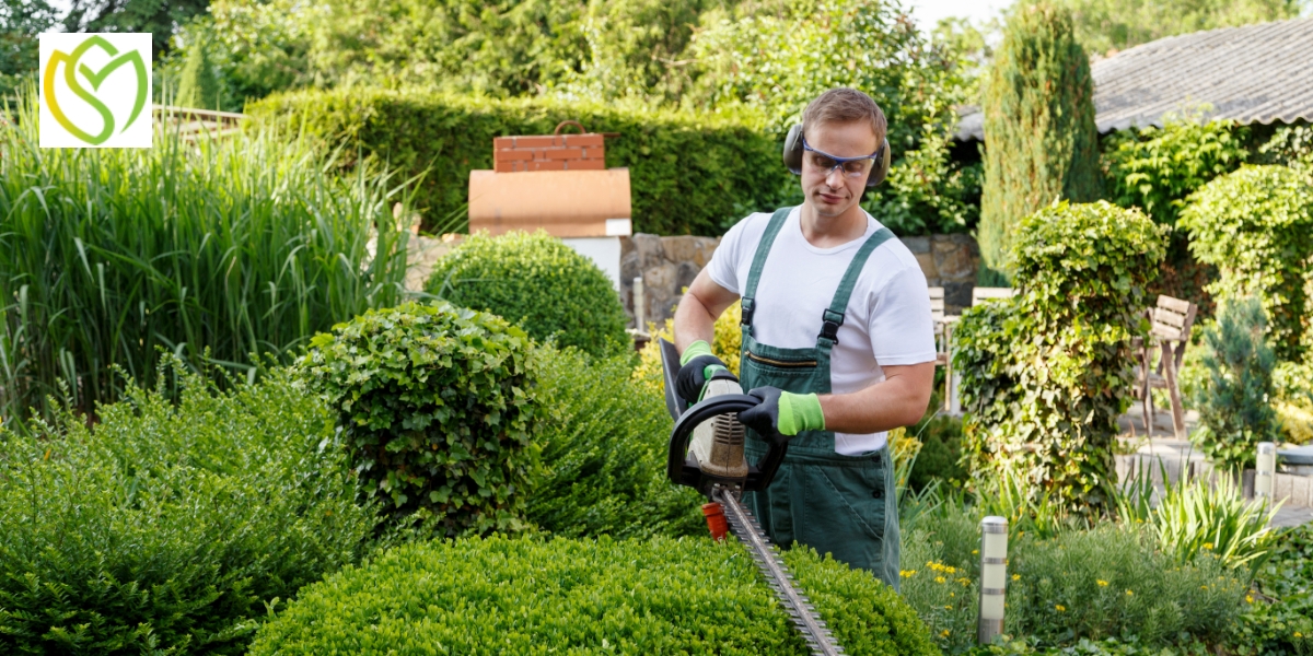 Entretien espaces verts à Saint-Lys et Nailloux