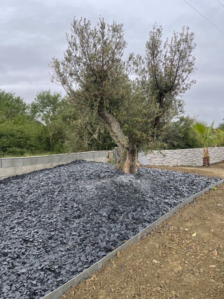 MURET SERVICES PAYSAGISTE Entretien Et Creation Jardin Muret IMG 3227